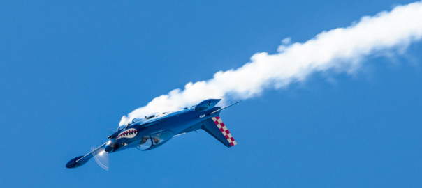 Rich Perkins, Marchetti SF.260, Pt. Mugu Airshow